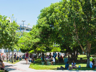 Imagem do campus de Florianópolis da Universidade Federal de Santa Catarina (UFSC), com estudantes sentados sob as árvores