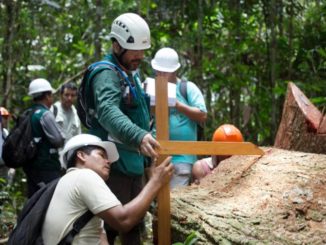 Cientistas florestais em trabalho de campo na Amazônia