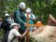 Cientistas florestais em trabalho de campo na Amazônia