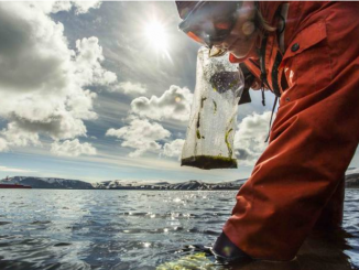 Pesquisa brasileira na Antartida. Foto: Reprodução