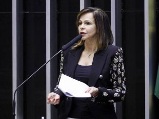 Relatora do Fundeb: Professora Dorinha (DEM-TO) discursa em plenário Foto: Najara Araujo / Câmara dos Deputados