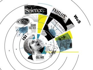 Publicações citações de artigos científicos. Montagem de Patricia Brandstatter/Agência Fapesp