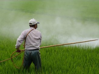 Agrotóxico agronegócio. Foto: Canva