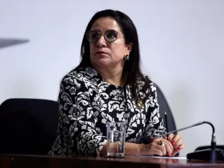 Elizabeth Guedes, presidente da Associação Nacional das Universidades Particulares (Foto: Anup/ Divulgação)