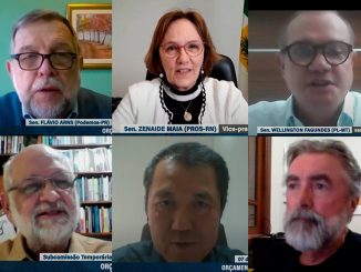 Flávio Arns, Zenaide e Wellington (ao alto) na audiência remota com especialistas em financiamento educacional Agência Senado Fonte: Agência Senado