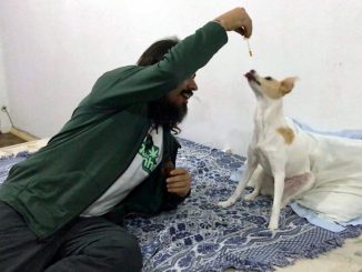 Yara foi a “paciente zero” do professor Erik Amazonas. Aos oito meses de idade, a cachorrinha começou a usar o óleo de cannabis, ou canabidiol, para tratar crises convulsivas (Foto: UFSC/Divulgação)