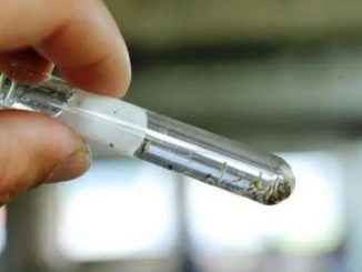 Foto: Patrick Rodrigues, Arquivo NSC Total